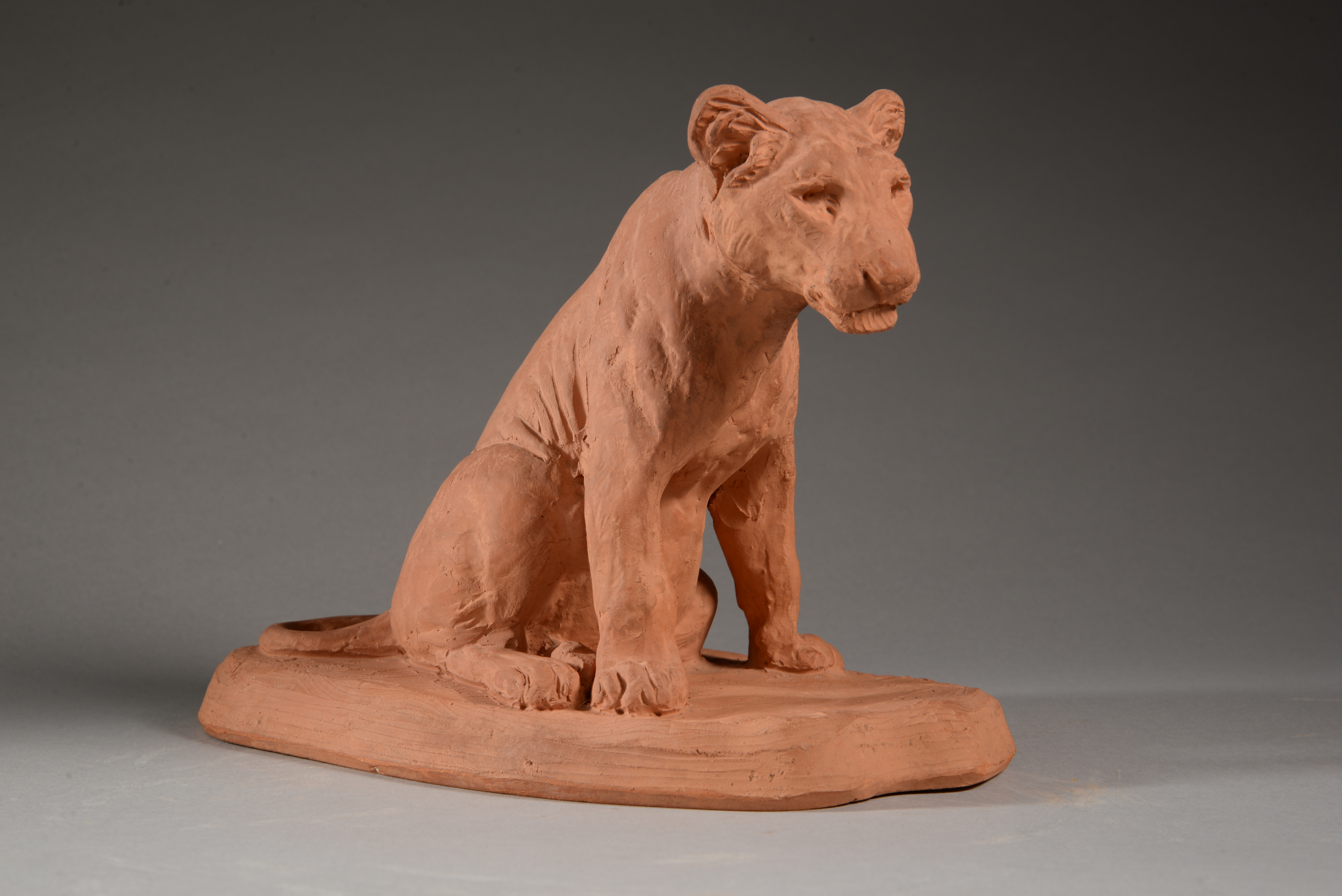 LIONCEAU ASSIS